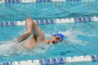 Swimming & Diving vs RWU  Swimming & Diving vs Roger Williams University. - Photo by Keith Nordstrom : Wheaton, Swimming
